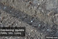 Bringing Your Garden to Life