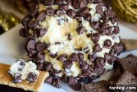 Dreamy Chocolate Chip Cheesecake Delight
