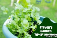 Steven’s Top 10 Gardening Must-Haves