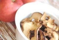 The Snack Pact Lunchbox Menu Planner