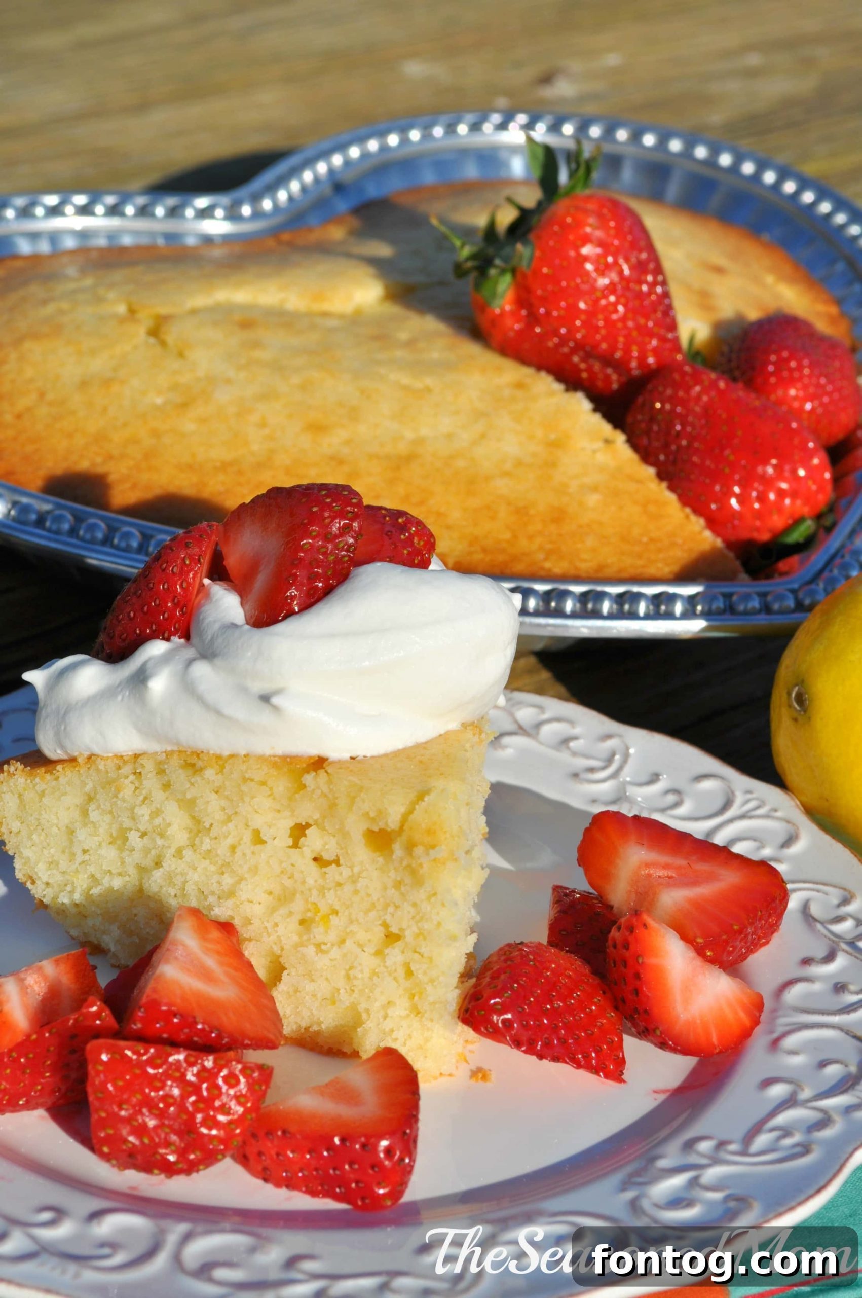 featured 22352 scaled