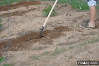 Cultivating Our Garden 2014