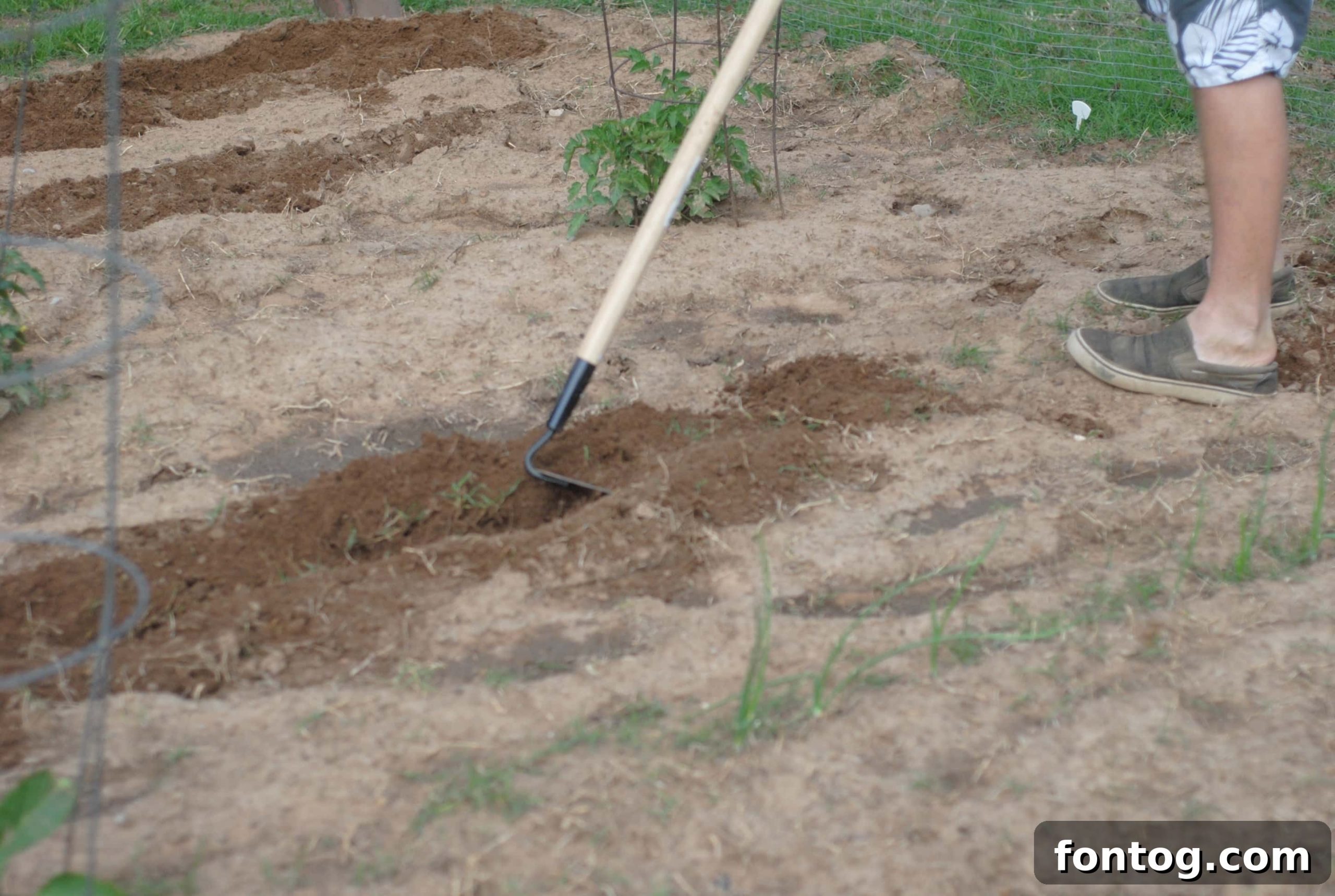 featured 23285 scaled