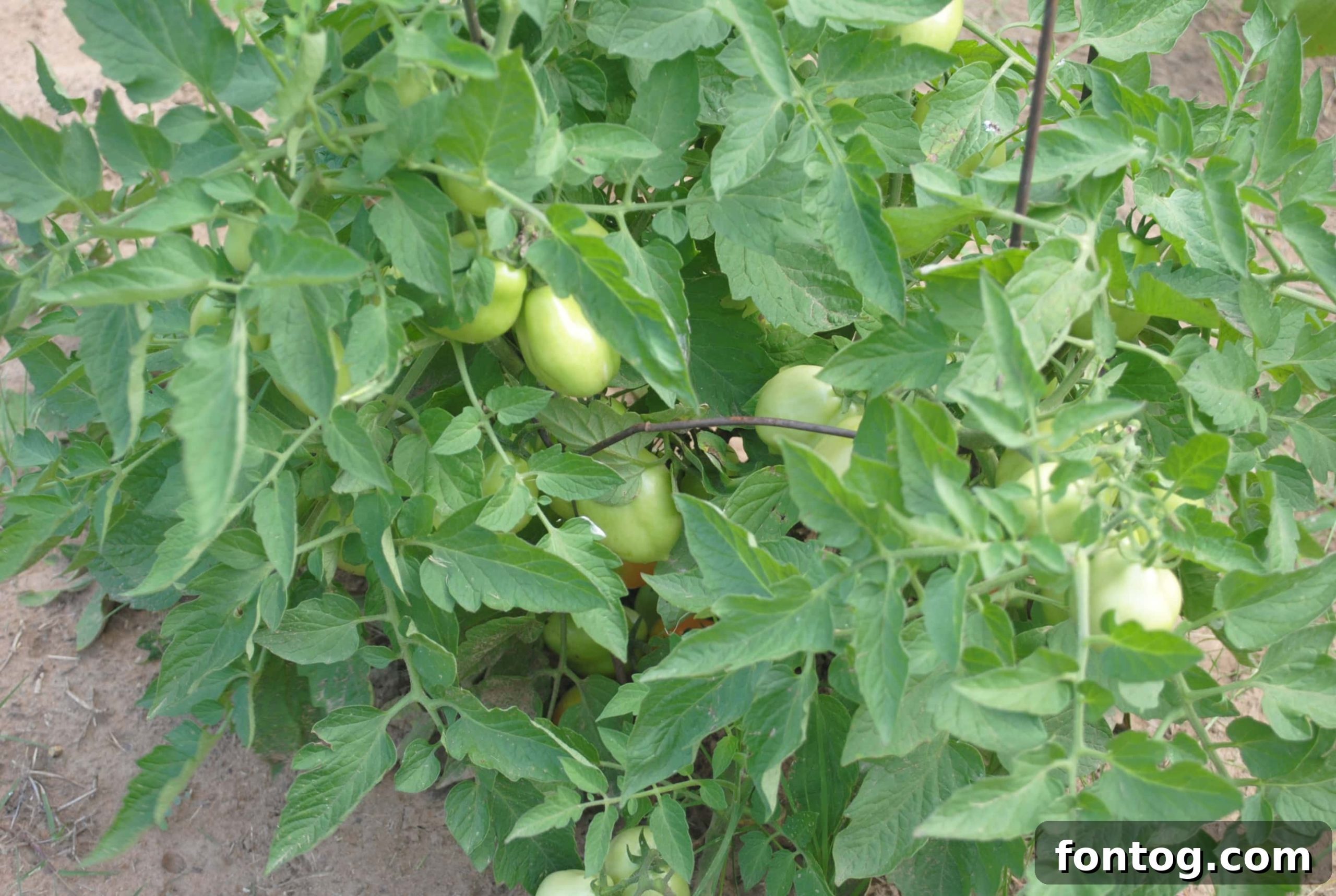 featured 24390 scaled