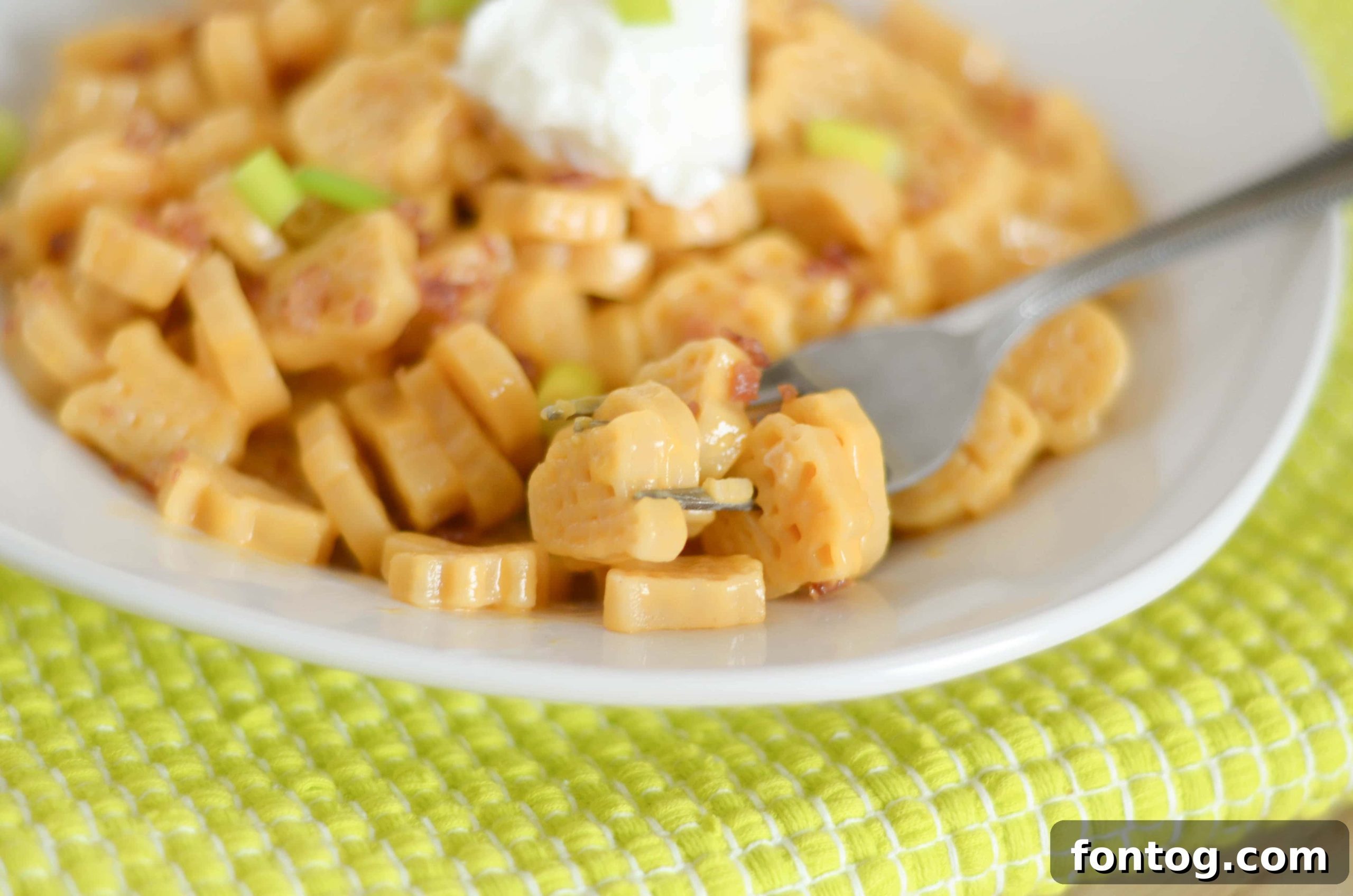 featured 28975 scaled