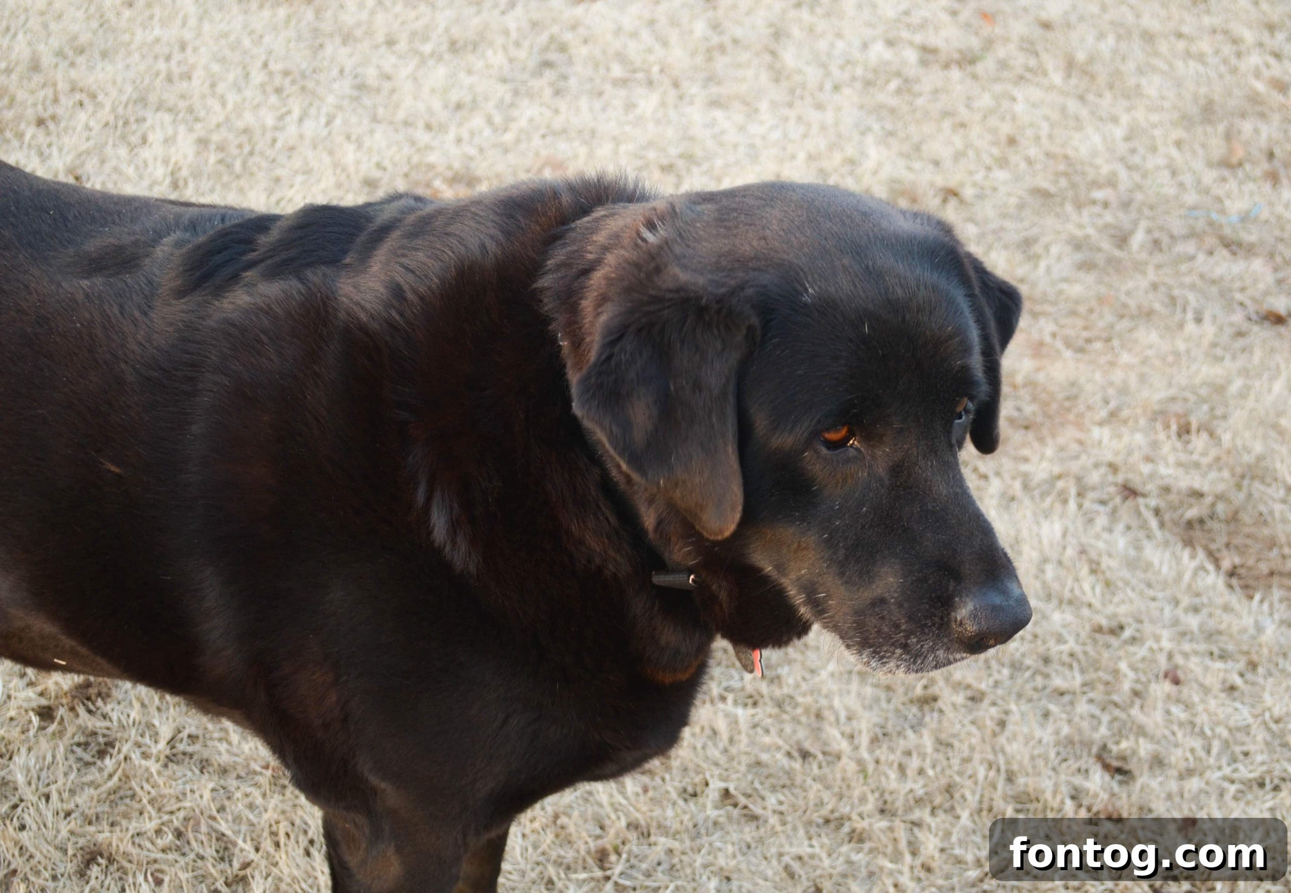 featured 29126 scaled