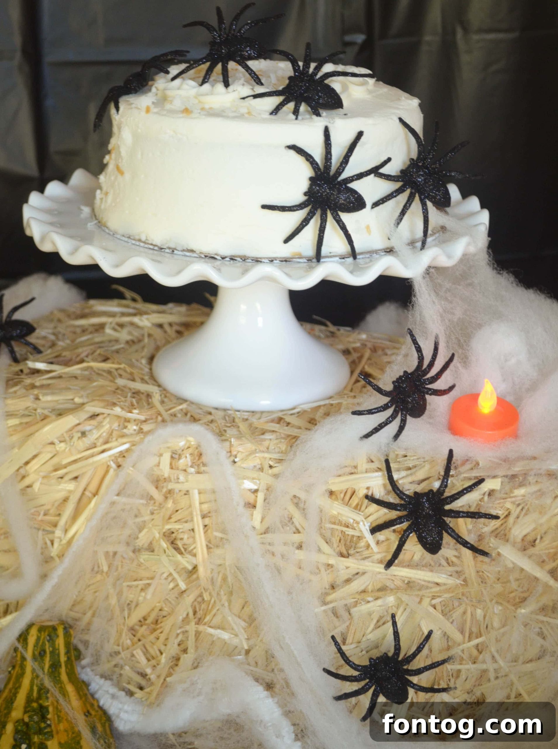 featured 31617 scaled