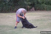 Iams Visible Transformation Challenge Part 2