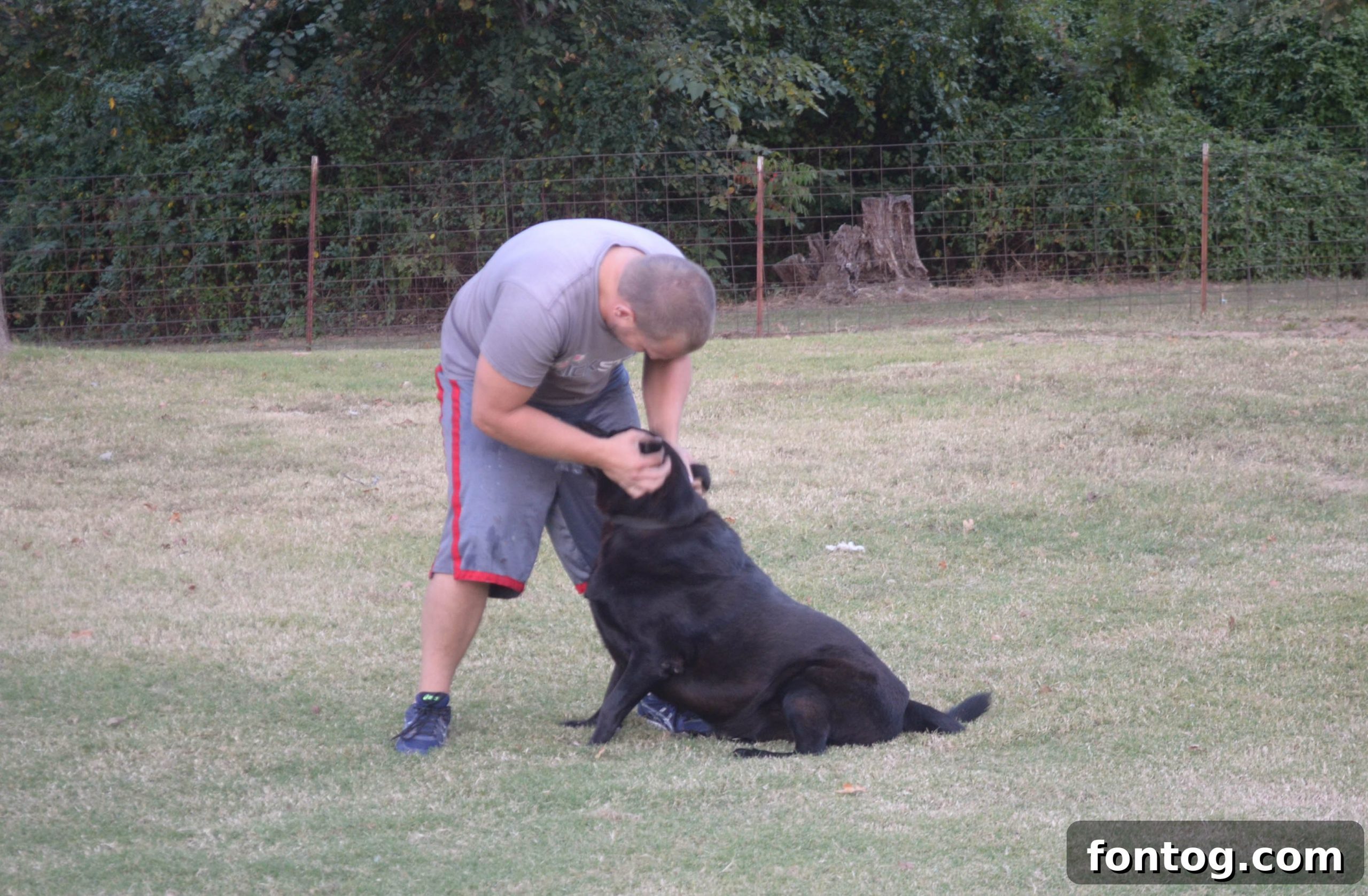 featured 31684 scaled