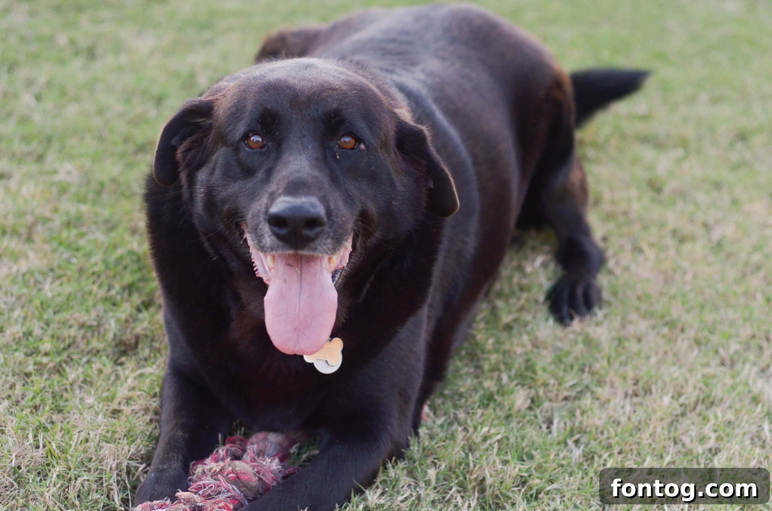 featured 32012 scaled