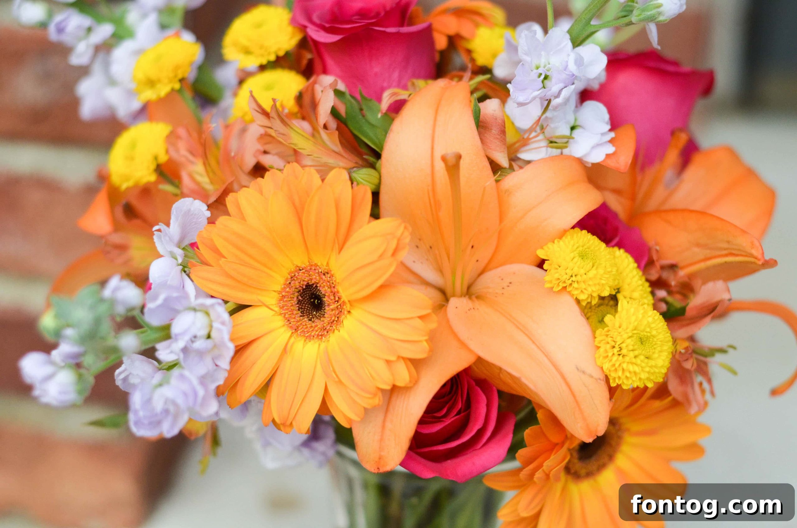 featured 34118 scaled