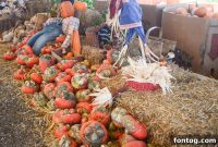 Experience Autumn Magic at Pumpkin Town Farms