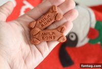 Heartfelt Stockings for Beloved Pets