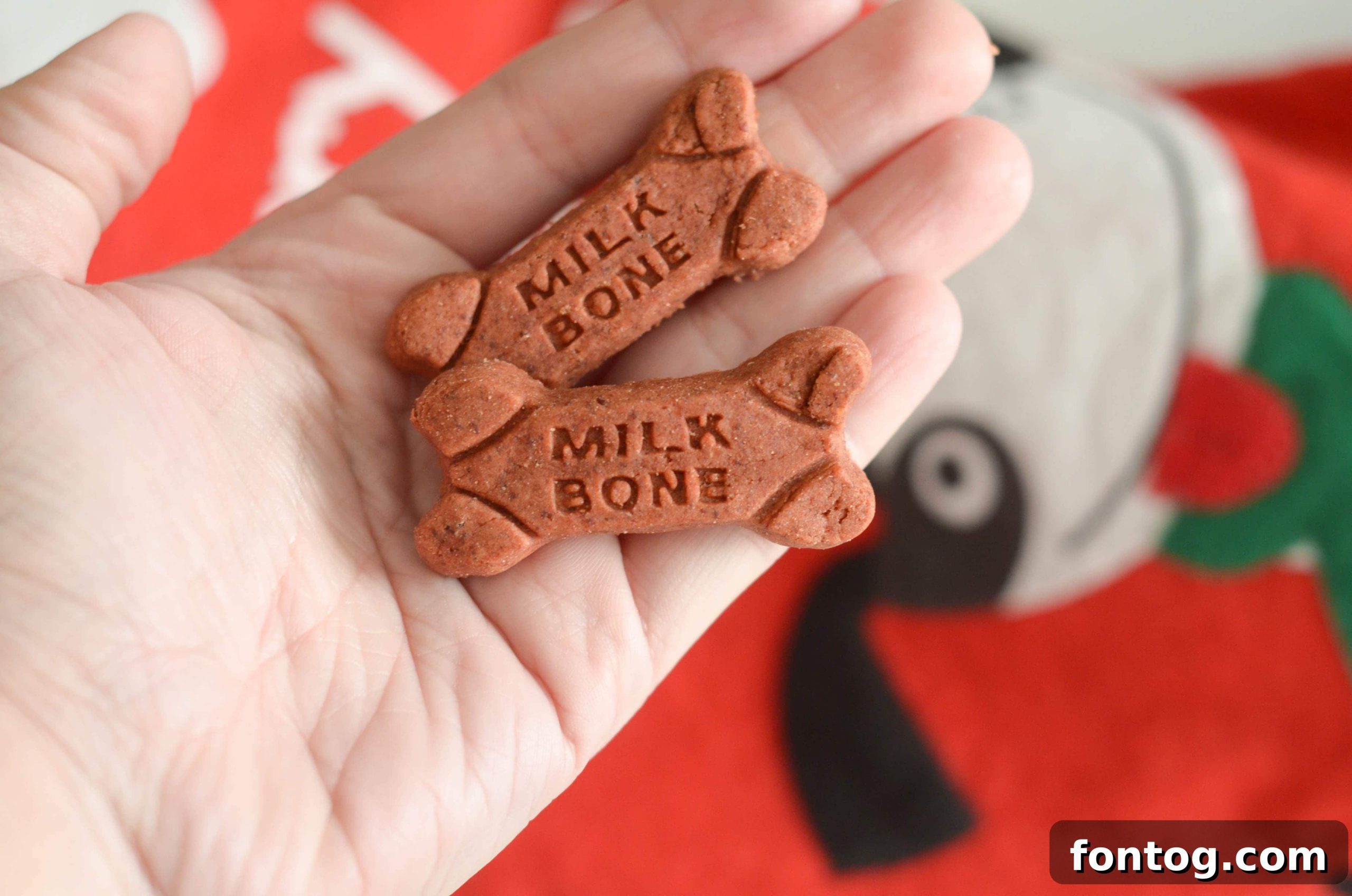 featured 37193 scaled