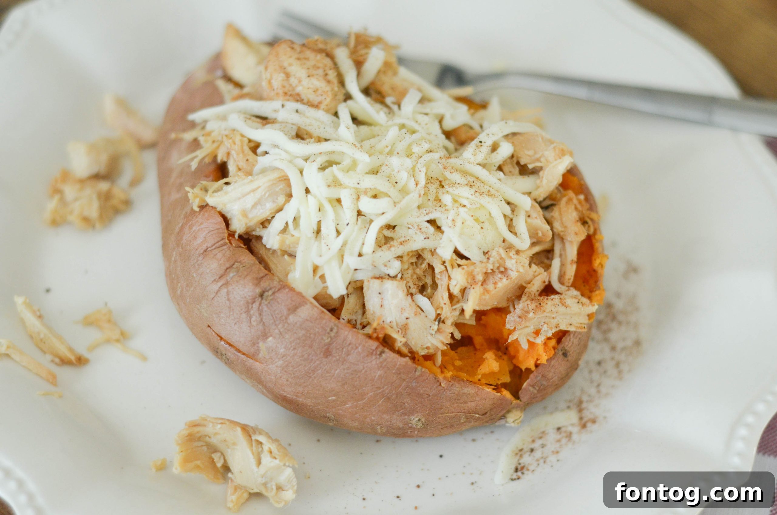 featured 38682 scaled