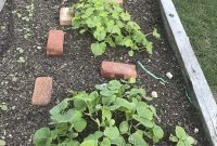 Wet Weather Gardening