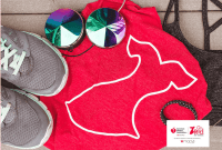 AHA Go Red Get Fit Challenge