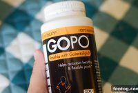 Unlock Your Mobility with GOPO