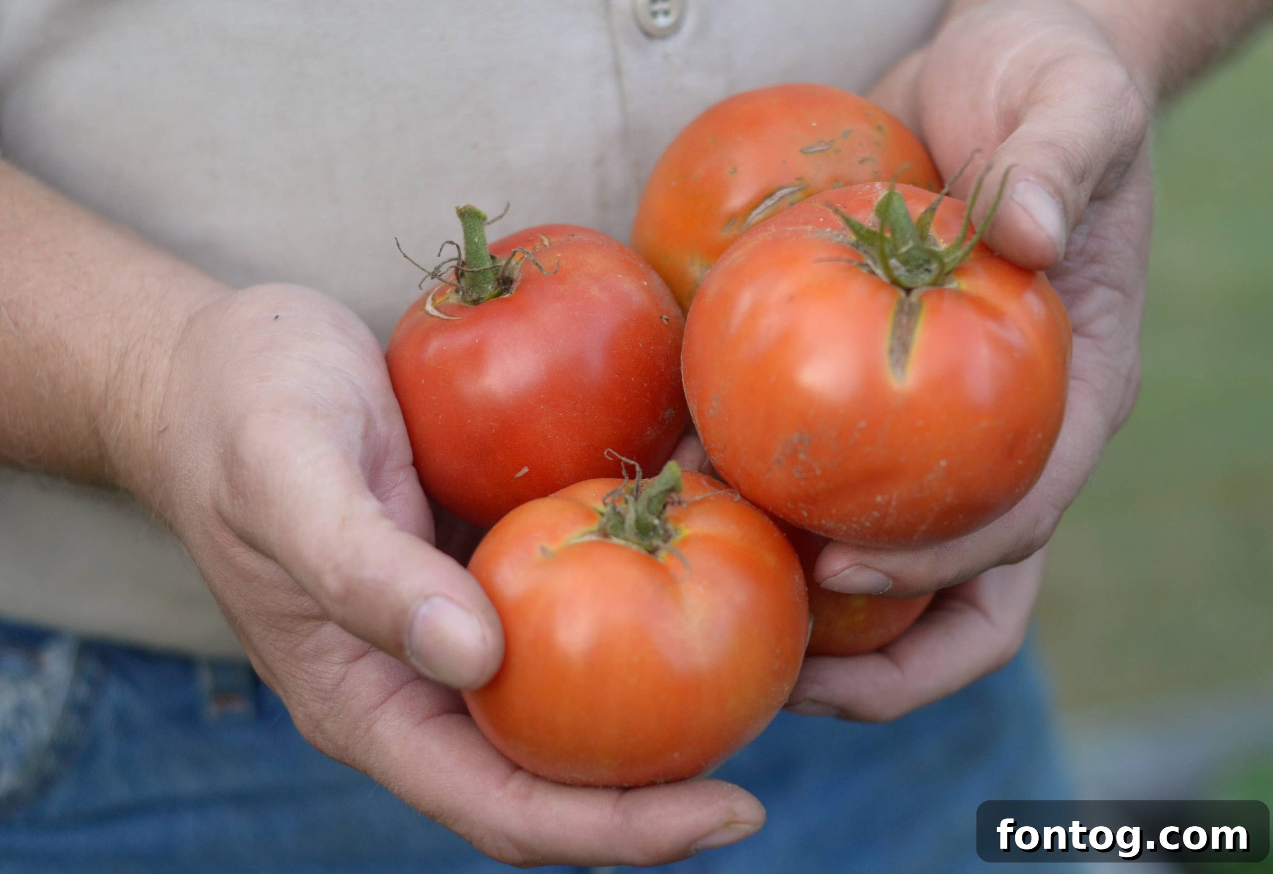 featured 41678 scaled