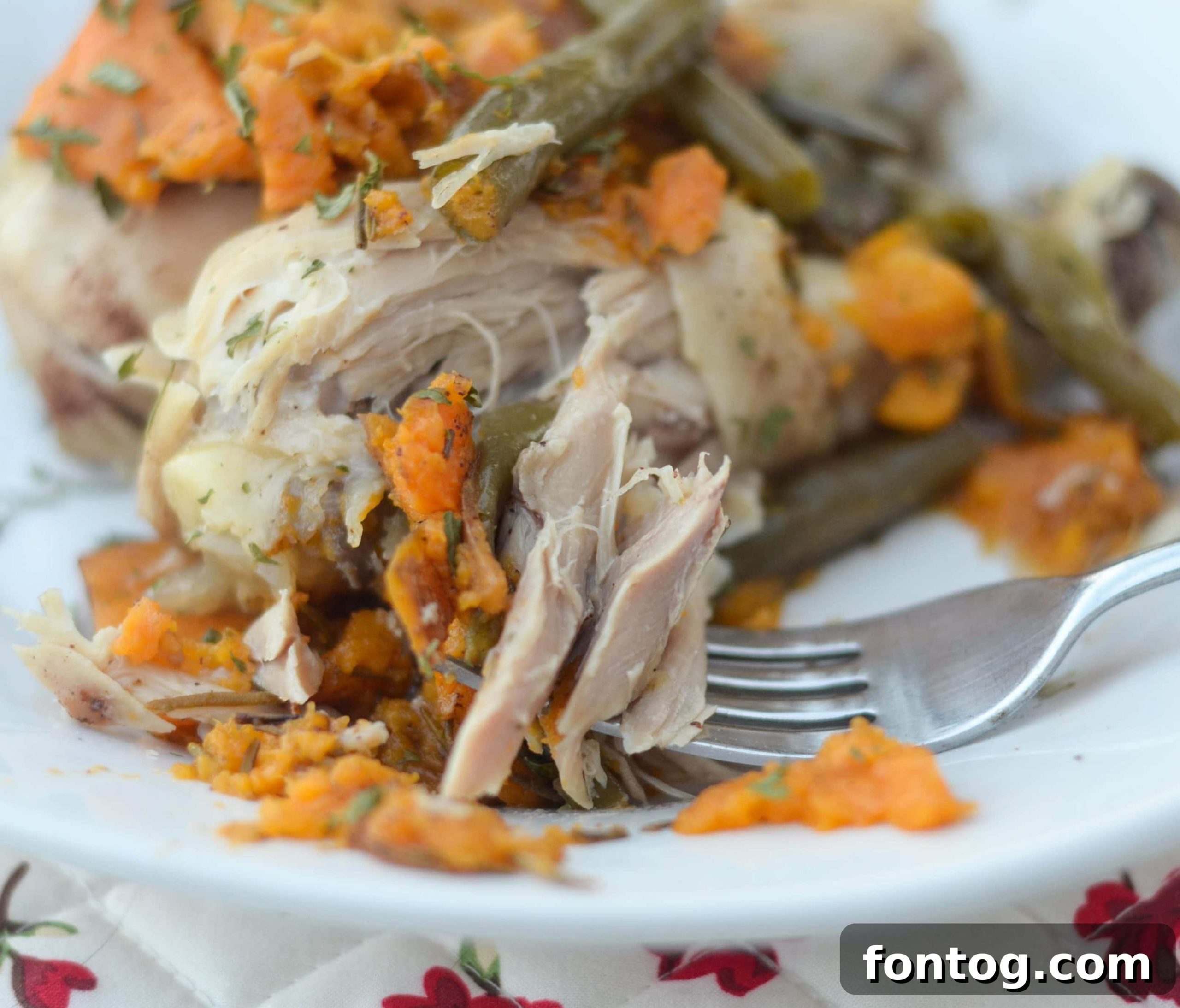 featured 46147 scaled