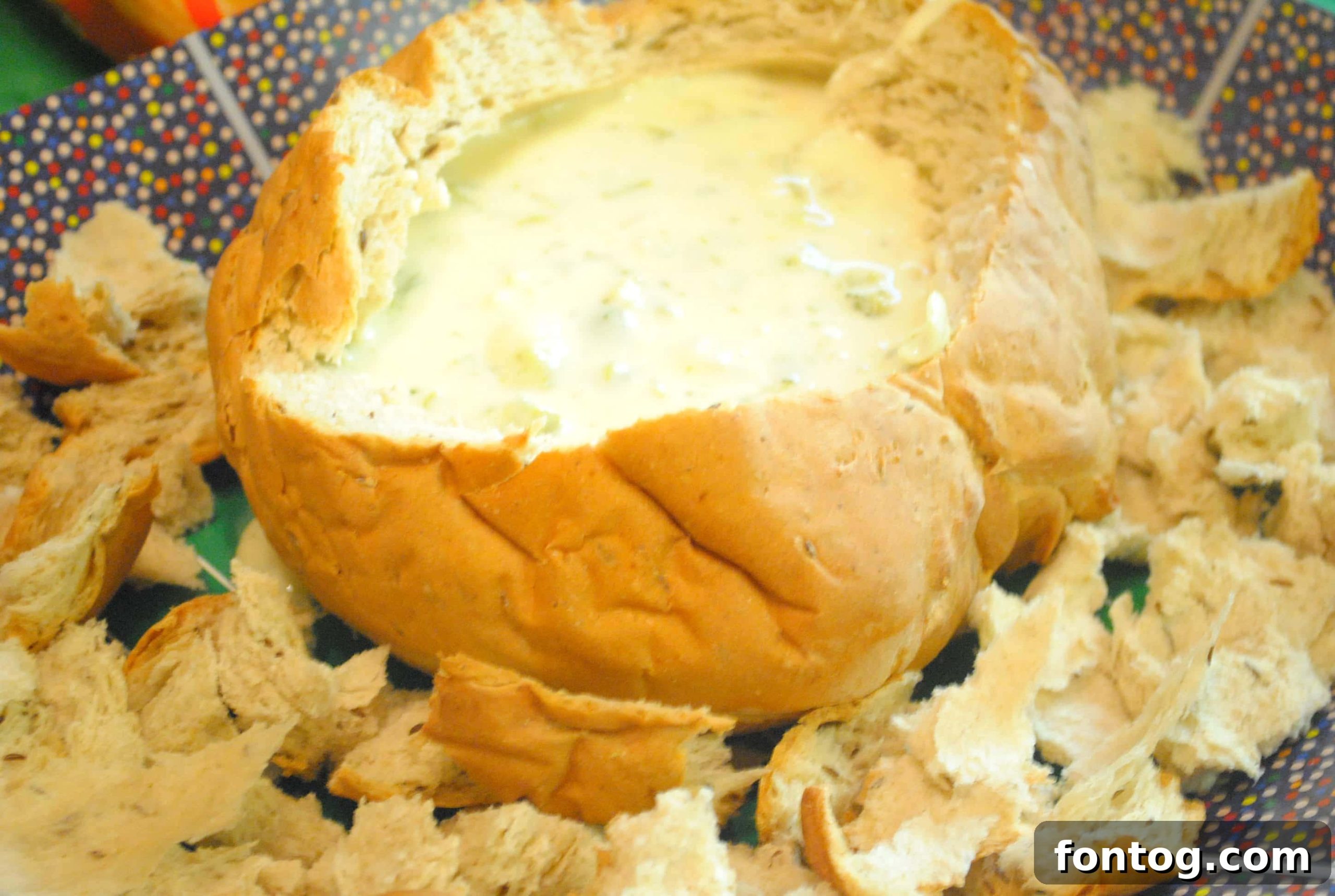 featured 4669 scaled