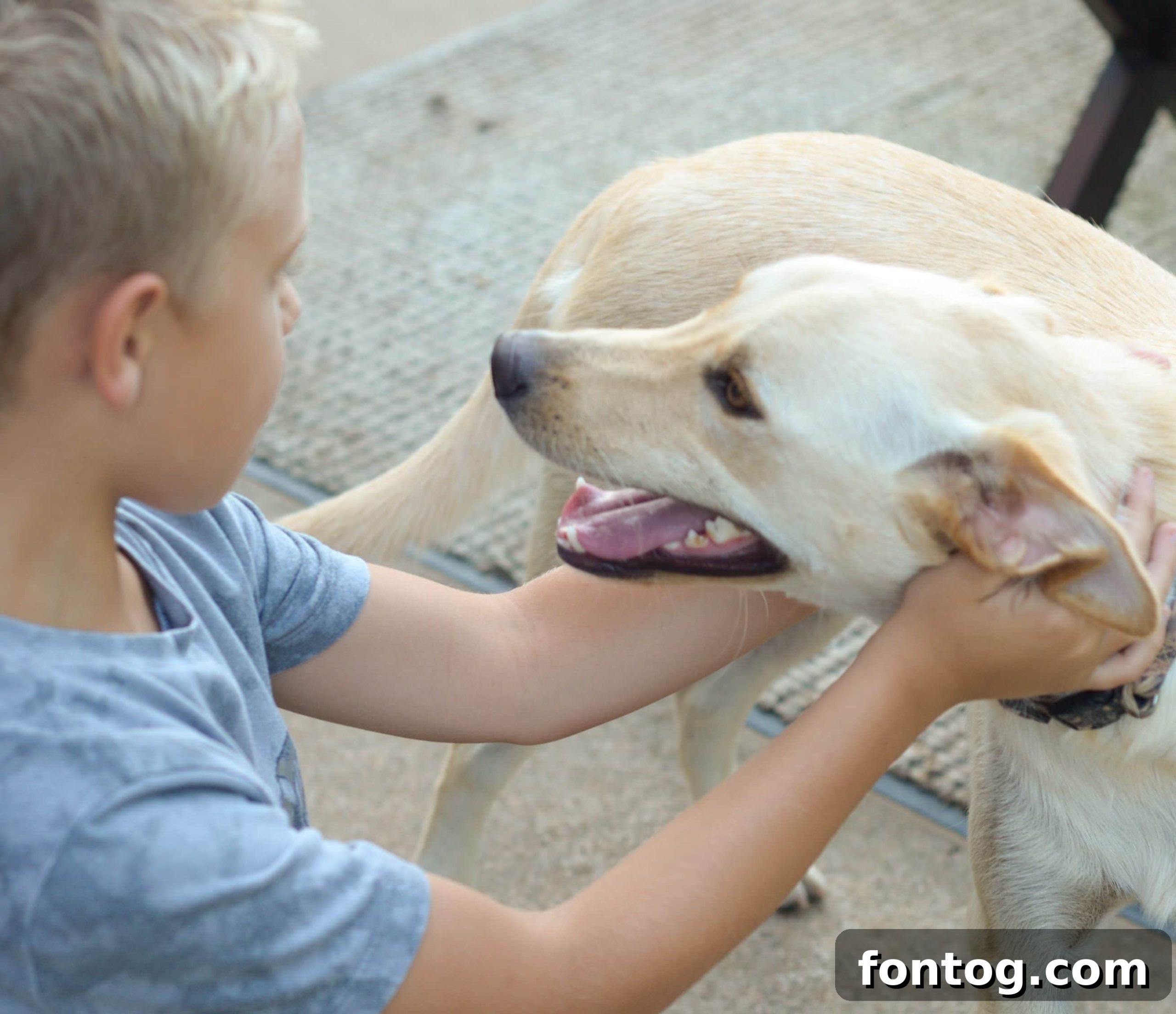 featured 46813 scaled