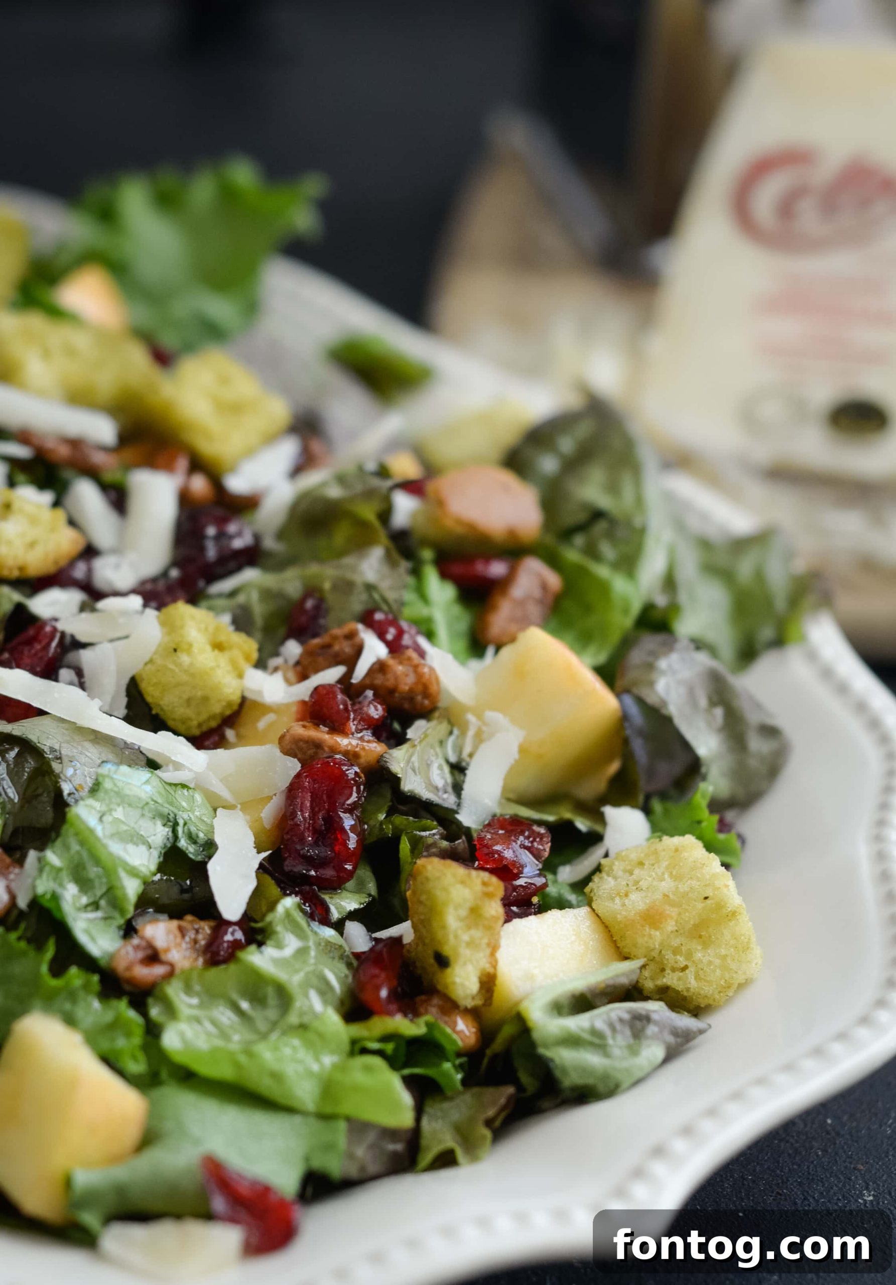 featured 53619 scaled