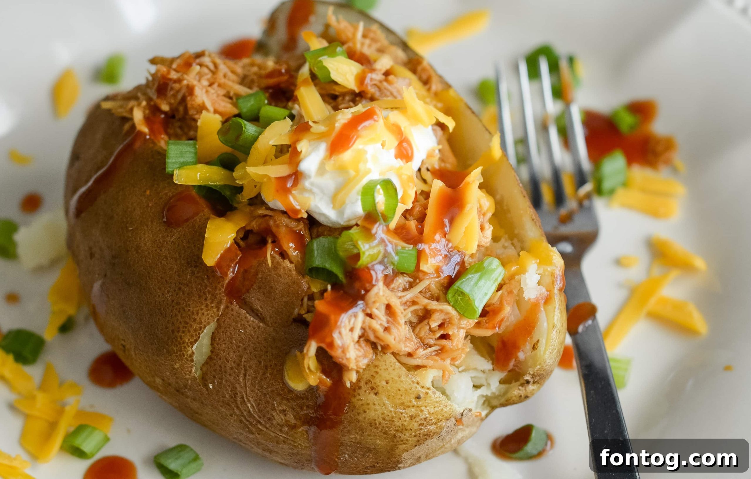 featured 58248 scaled