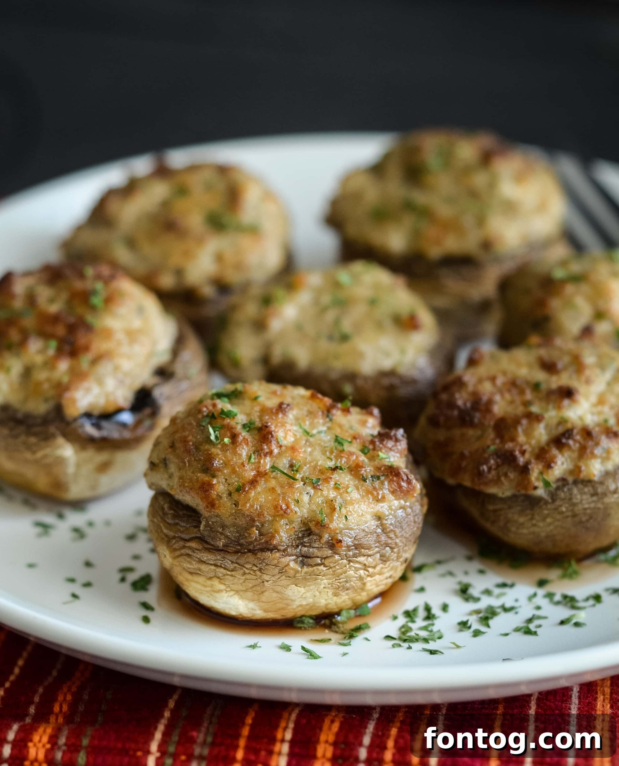 featured 63613 scaled