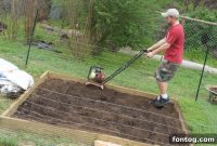 Where Seeds Take Root