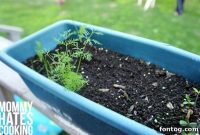 From Pot to Plot Mastering Garden Transplants