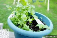 Pinning Your Way to a Beautiful Garden