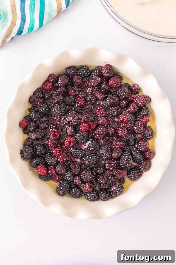 Blackberries soaking in sugar in a colander over a bowl, extracting juice.
