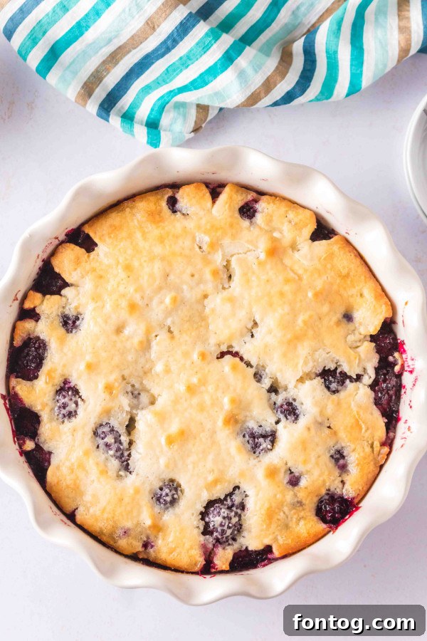 Cobbler batter poured over blackberries in a baking dish, creating distinct layers.