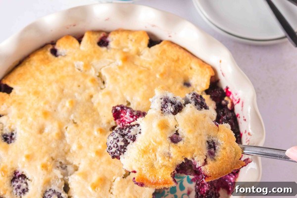A baked gluten-free blackberry cobbler with a golden-brown topping, fresh from the oven.