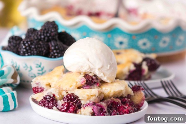 A scoop of vanilla ice cream melting over a warm serving of gluten-free blackberry cobbler.