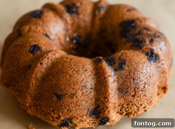 Gluten-free blueberry bread cooling on a wire rack after being baked