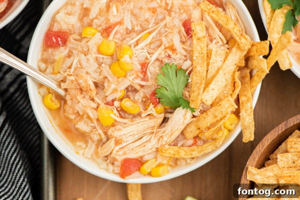 Set It and Forget It Chicken Tortilla Soup 5 slow cooker chicken tortilla soup