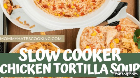 Set It and Forget It Chicken Tortilla Soup 8 slow cooker chicken tortilla soup