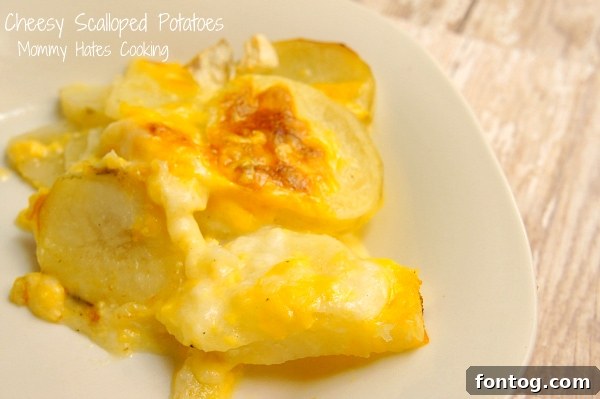 Delicious Cheesy Scalloped Potatoes, a perfect Thanksgiving side