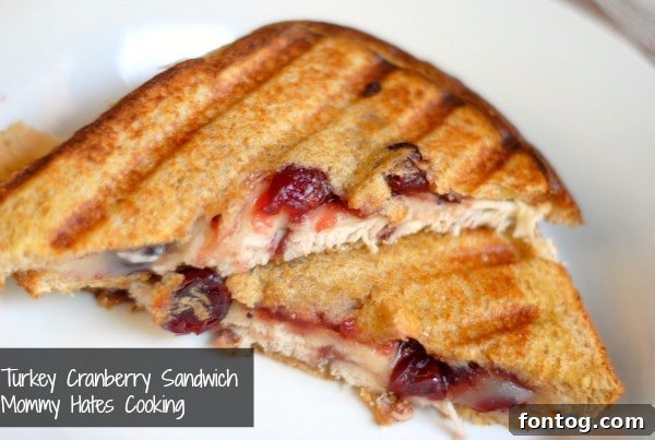 Delicious Turkey Cranberry Sandwich with Wonder Bread