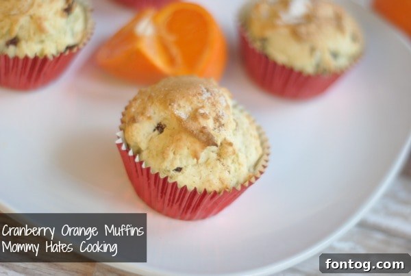cranberry orange muffins