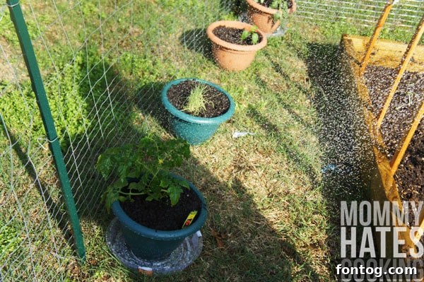 Garden planning and expansion