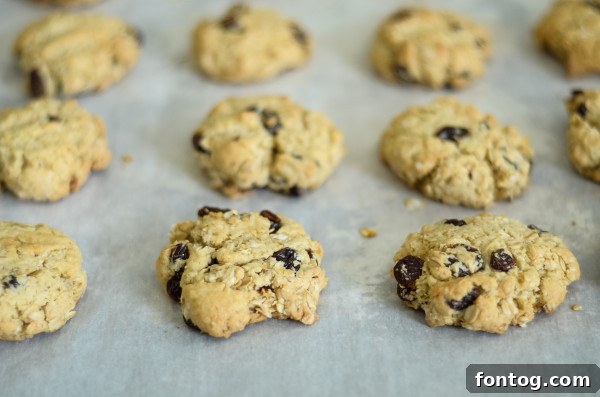 Chewy Gluten Free Oatmeal Raisin Delights 4 close-up of gluten free oatmeal raisin cookies