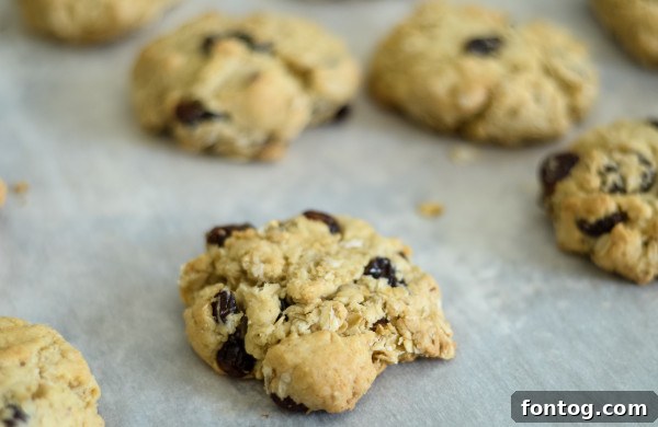 Chewy Gluten Free Oatmeal Raisin Delights 5 a stack of gluten free oatmeal raisin cookies
