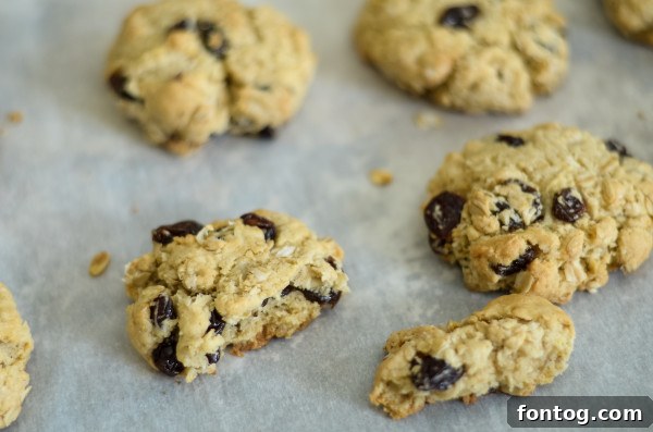 Chewy Gluten Free Oatmeal Raisin Delights 6 gluten free oatmeal raisin cookies arranged on a white plate