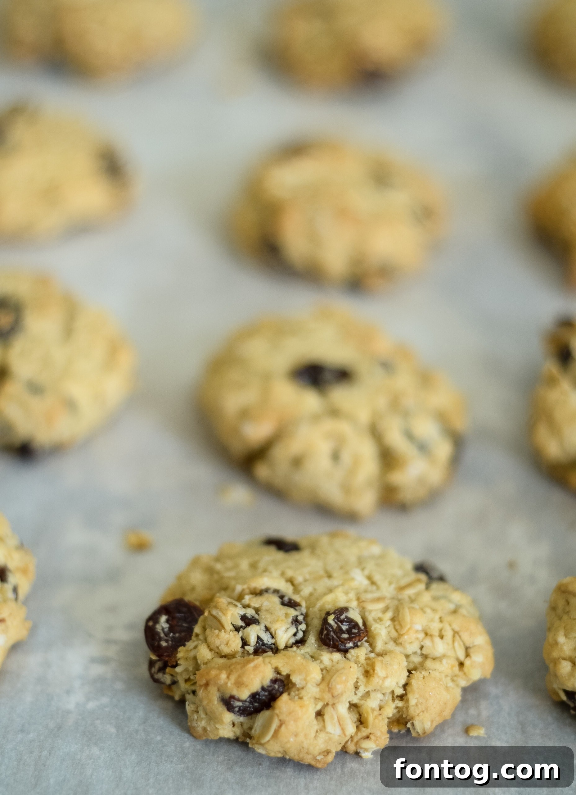 Gluten Free Oatmeal Raisin Cookies