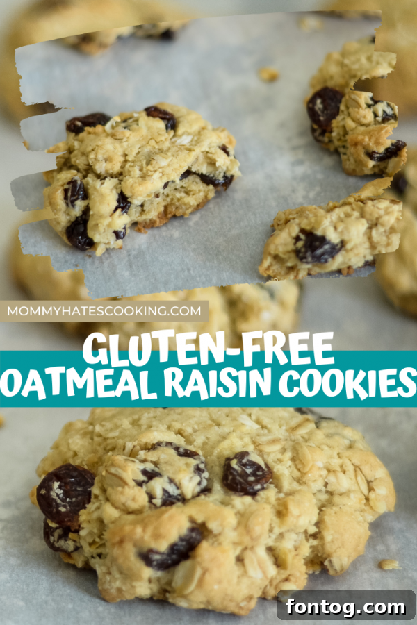 Chewy Gluten Free Oatmeal Raisin Delights 8 Promotional image for gluten free oatmeal raisin cookies, ideal for pinning