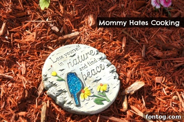 Beautifully mulched garden path with stone border and green plants