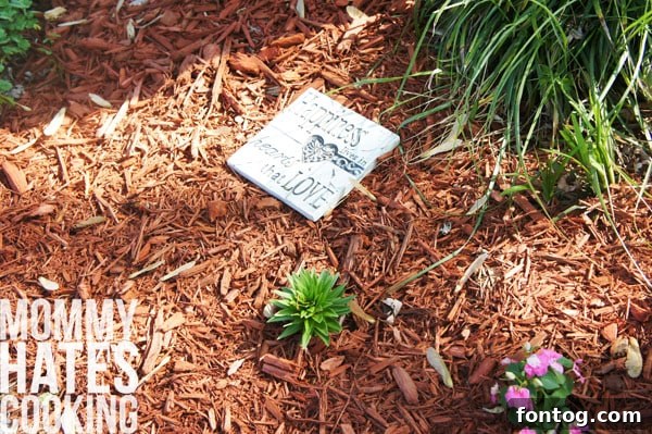 Vibrant garden bed with blooming flowers and rich red mulch